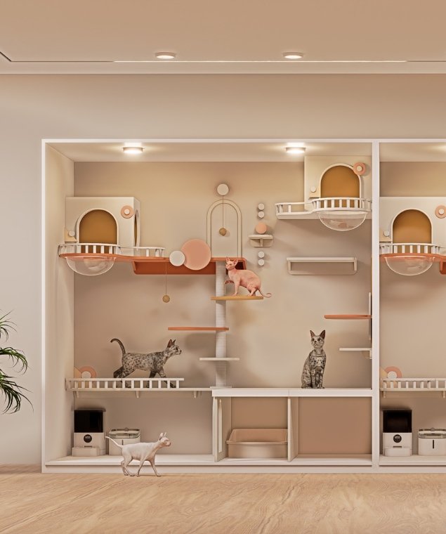 บริการรับออกแบบและสร้างโรงแรมแมว ครบวงจร