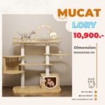 MUCAT LORY คอนโดแมวขนาดใหญ่ 155 ซม. มีหลุมใสและบ้านระแนงไม้
