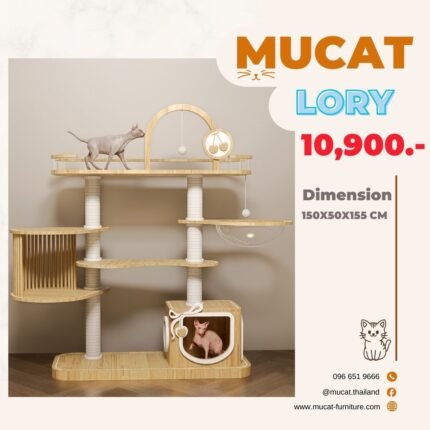 MUCAT LORY คอนโดแมวขนาดใหญ่ 155 ซม. มีหลุมใสและบ้านระแนงไม้